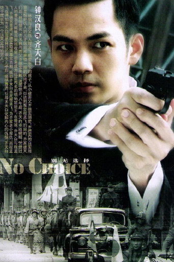 别无选择 (2012) poster