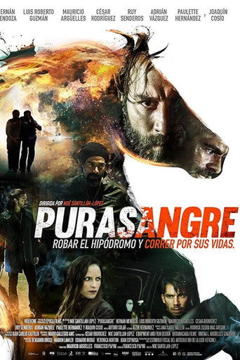 Thoroughbred (2016) poster