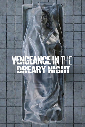 Vengeance in the Dreary Night (2025) poster
