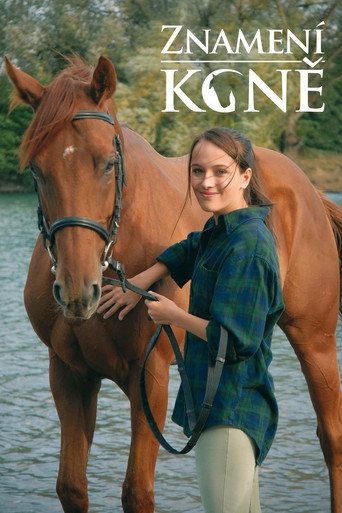 Znamení koně (2011) poster
