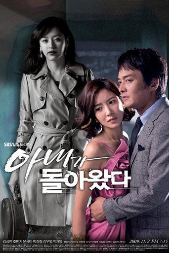My Wife is Back (2009) poster