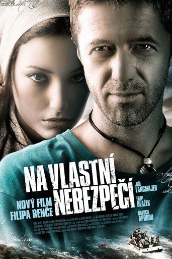 At Your Own Risk (2008) poster