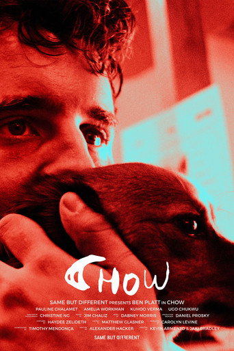 Chow (2024) poster