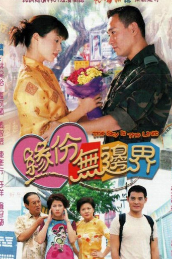 The Sky Is the Limit (2000) poster