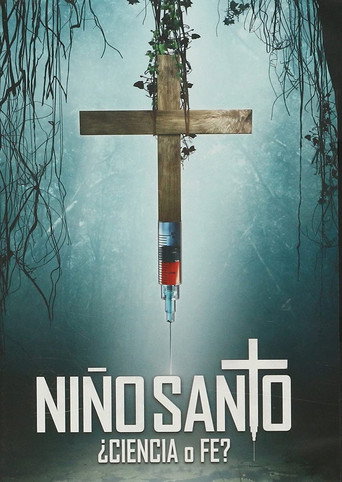 Niño Santo (2011) poster