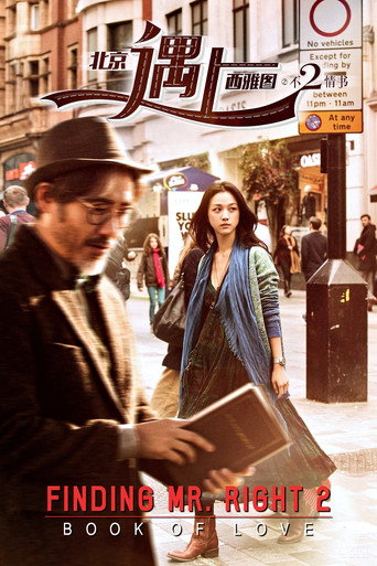 Finding Mr. Right 2 (2016) poster