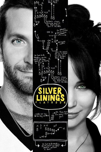 Silver Linings Playbook (2012) poster