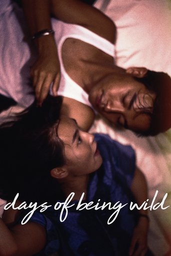 Days of Being Wild (1990) poster