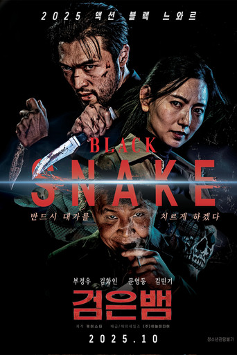 Black Snake (2025) poster