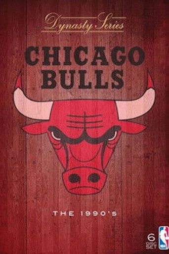 NBA Dynasty - Chicago Bulls (2004) poster