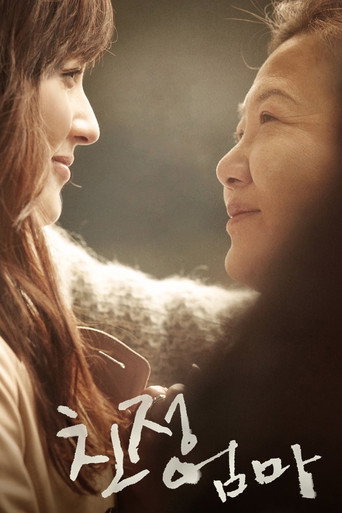 A Long Visit (2010) poster