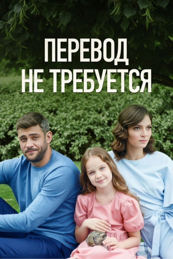 No Translation Needed (2020) poster