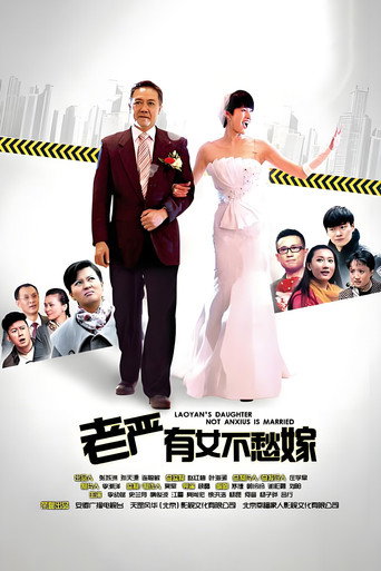 老严有女不愁嫁 (2013) poster