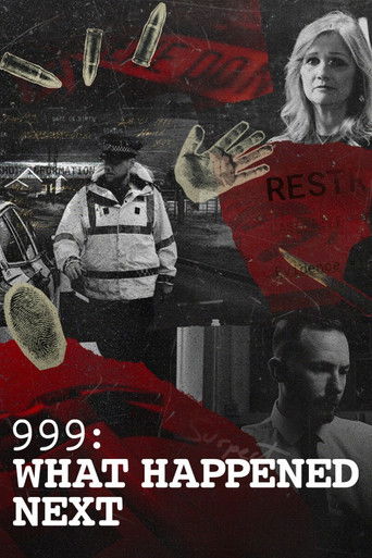 999: What Happened Next (2026) poster