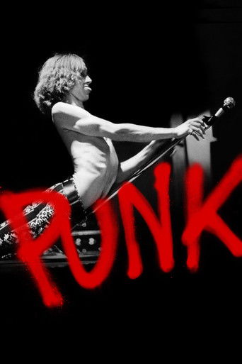 Punk (2019) poster