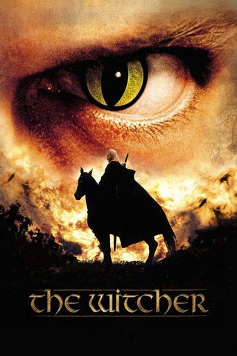 The Witcher (2002) poster