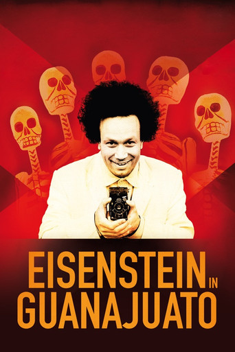 Eisenstein in Guanajuato (2015) poster