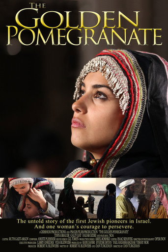 The Golden Pomegranate (2010) poster