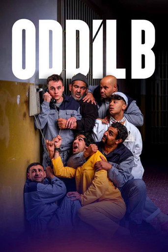 Oddíl B poster