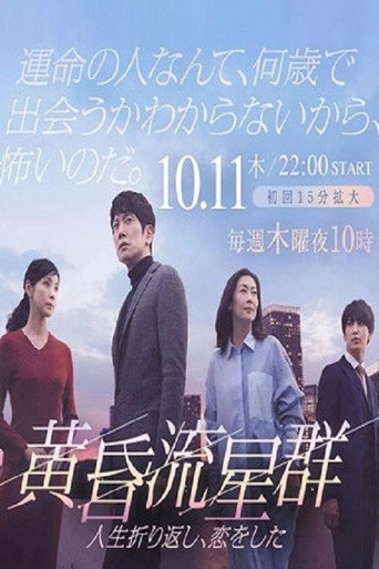 Like Shooting Stars in the Twilight (2018) poster