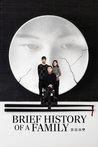 Brief History of a Family (2024) poster