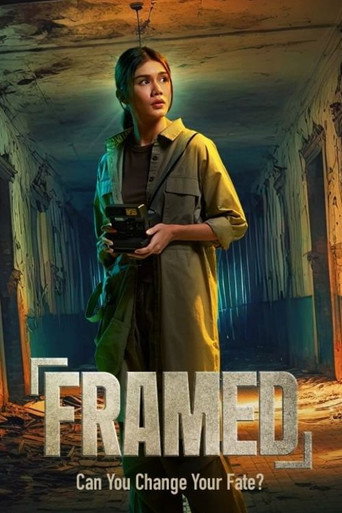 Framed (2024) poster