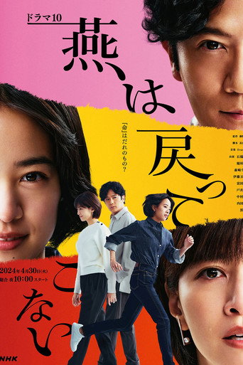 The Swallows Don't Come Back (2024) poster