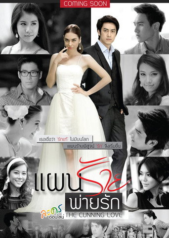 The Cunning Love (2013) poster
