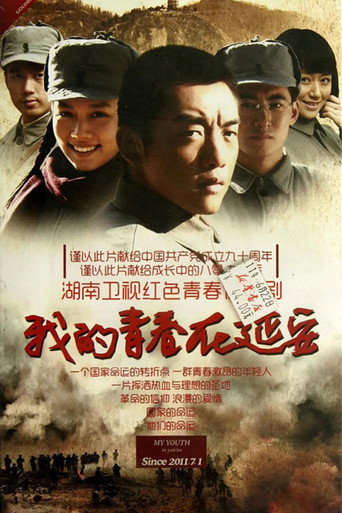 我的青春在延安 (2011) poster