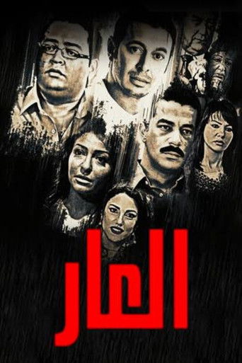 The Shame (2011) poster