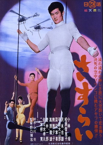 Love in the Air (1962) poster