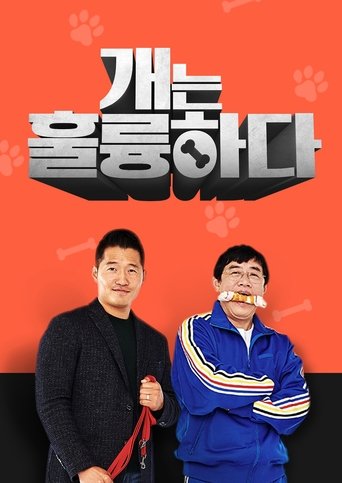 Dogs Are Incredible (2019) poster