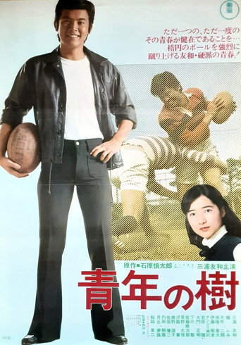 Tree of Youth (1977) poster