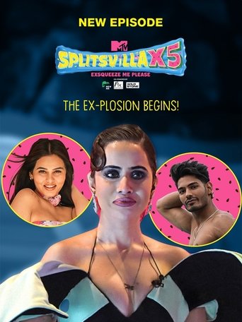 MTV Splitsvilla (2008) poster