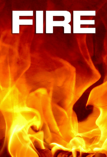 Fire (1995) poster