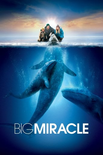 Big Miracle (2012) poster