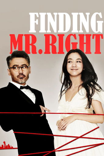 Finding Mr. Right (2013) poster