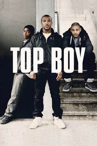 Top Boy (2011) poster
