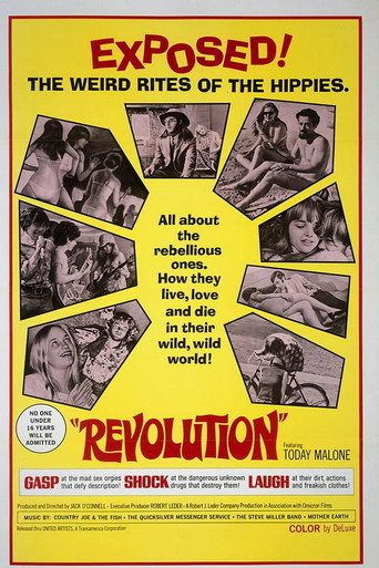 Revolution (1968) poster