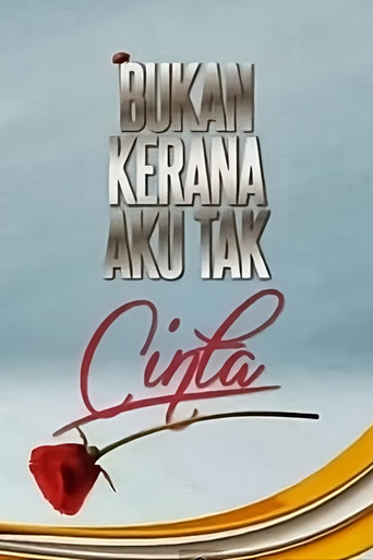Bukan Kerana Aku Tak Cinta (2013) poster