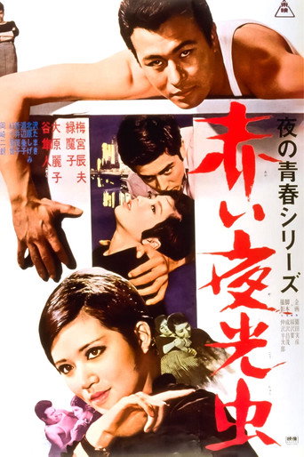 Nocturnal Lights (1966) poster