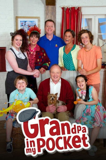 Grandpa in My Pocket (2009) poster