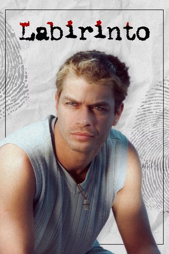 Labirinto (1998) poster