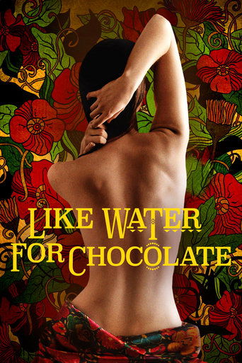 Like Water for Chocolate (1992) poster