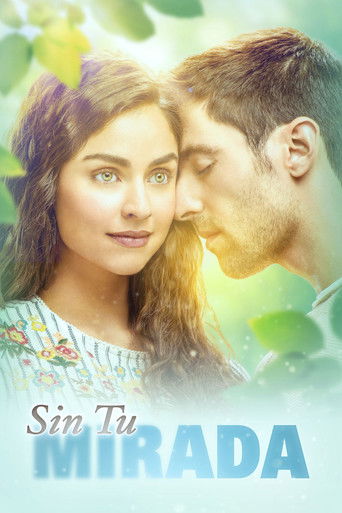 Sin tu mirada (2017) poster