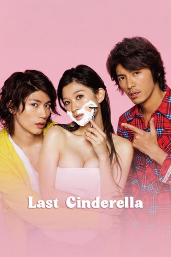 The Last Cinderella (2013) poster