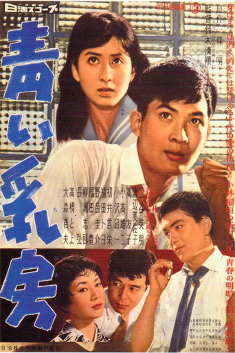 Young Breasts (1958) poster