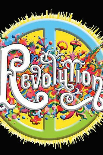 Revolution: The Legacy of the Sixties (2017) poster