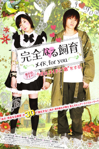 Perfect Education: A Maid for You (2010) poster