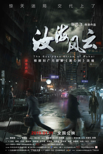 The Business Storm of Ruhai (2019) poster
